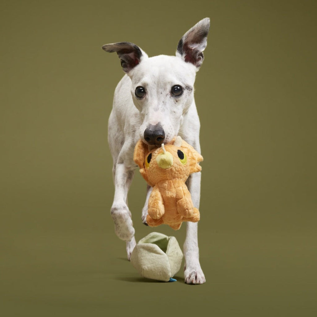 Baby Triceratops Plush Multi-Part + Enrichment Dog Toy