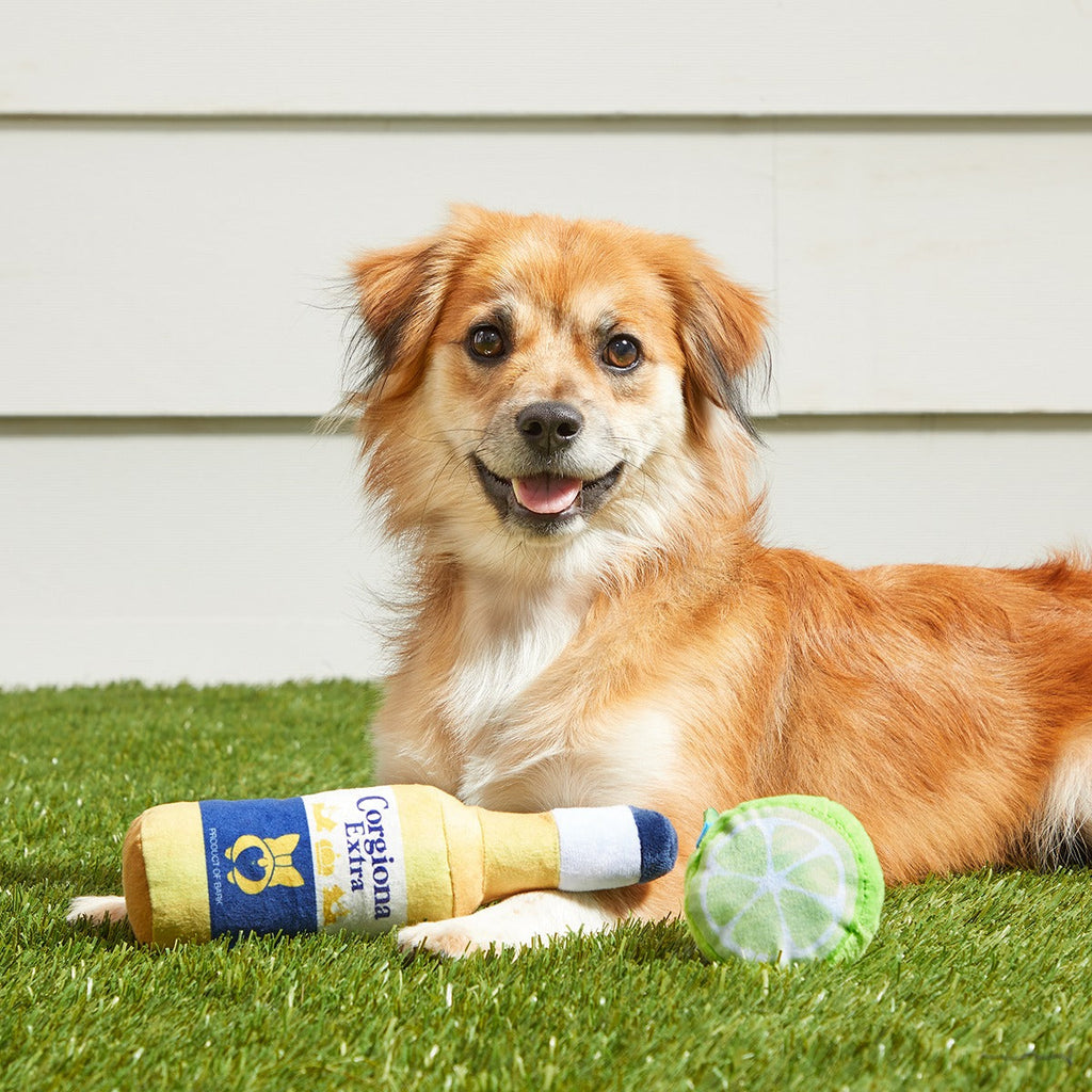 Corgiona With Lime Plush Multi-Part Dog Toy