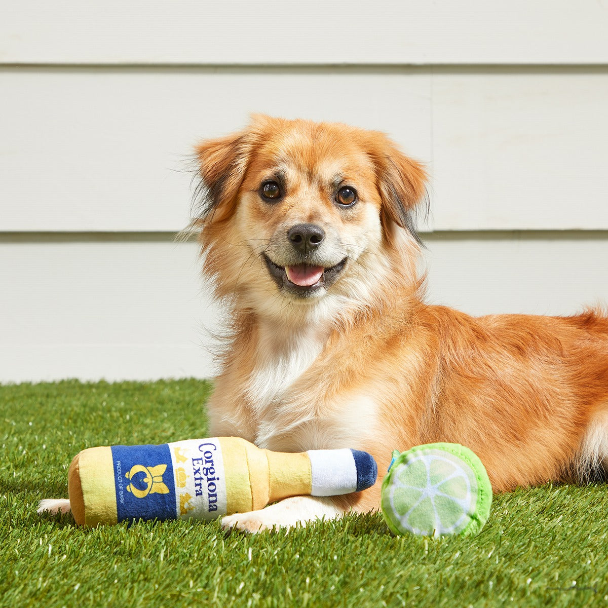 Corgiona With Lime Plush Multi-Part Dog Toy