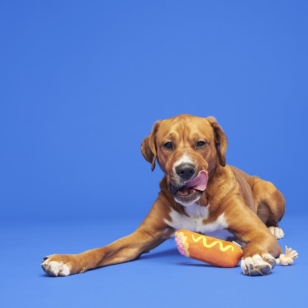 Corn Dog Tug Plush Rope Dog Toy