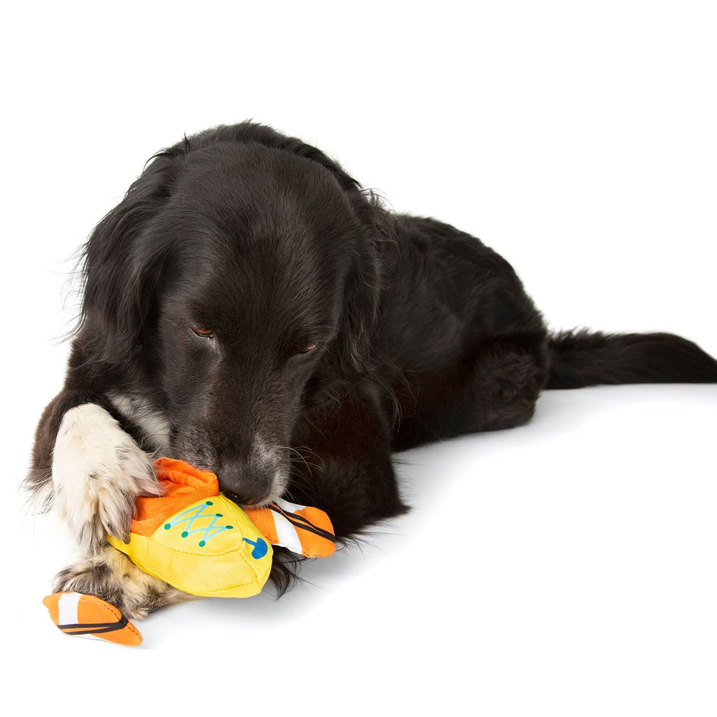 Off Track Kayak Plush Tug Dog Toy