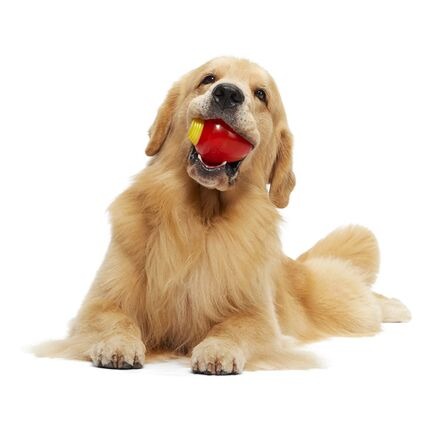 Squeak Every Bulb Durable Super Chewer Gnaw Dog Toy