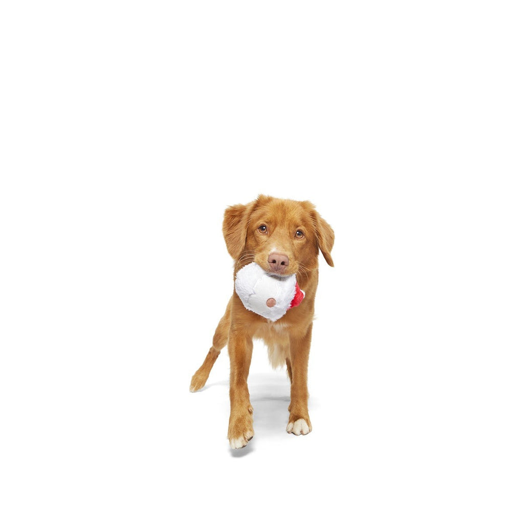 Secret Santa Durable Super Chewer 2-in-1 Rip and Reveal Dog Toy