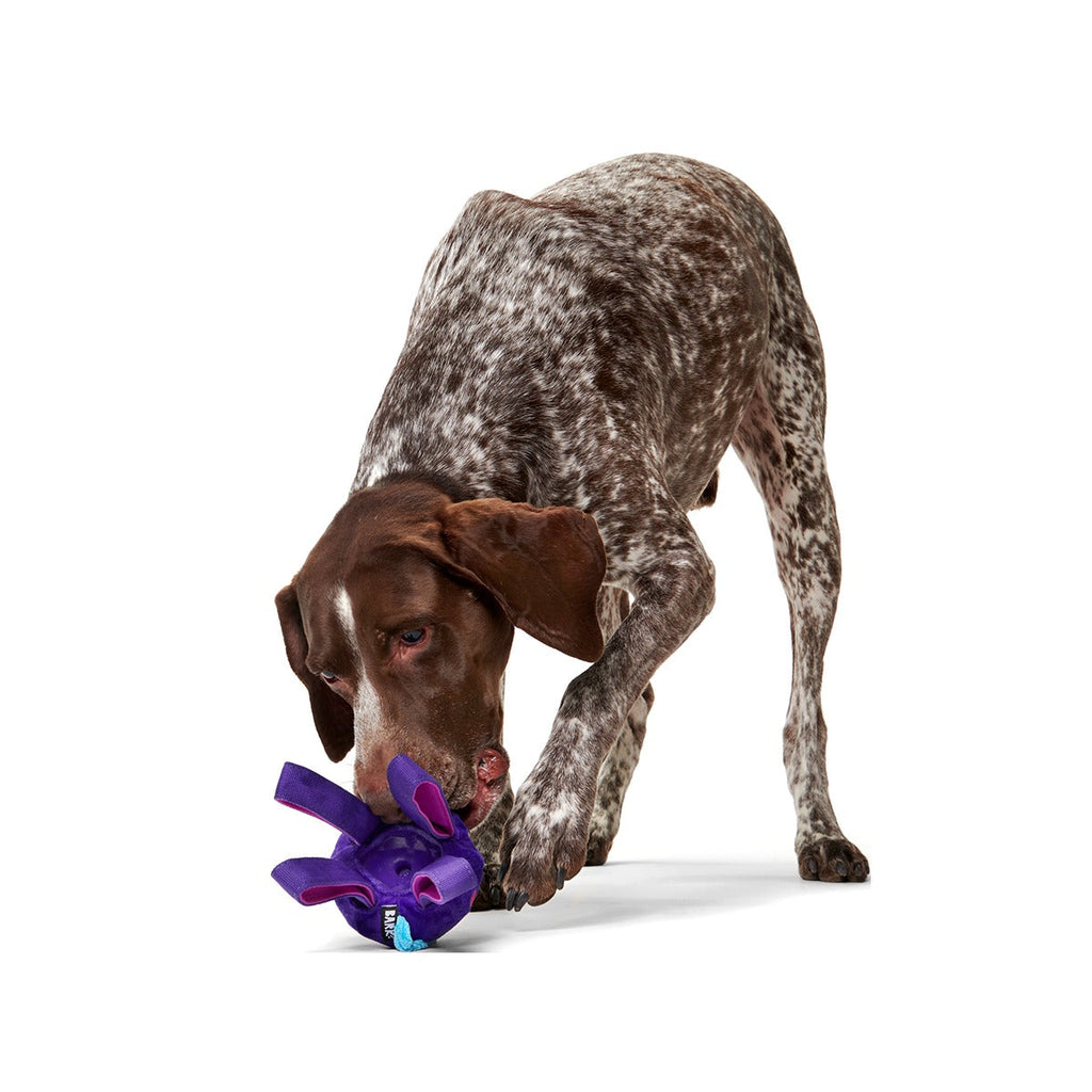Karen Kraken Super Chewer Durable 2-in-1 + Tug Dog Toy