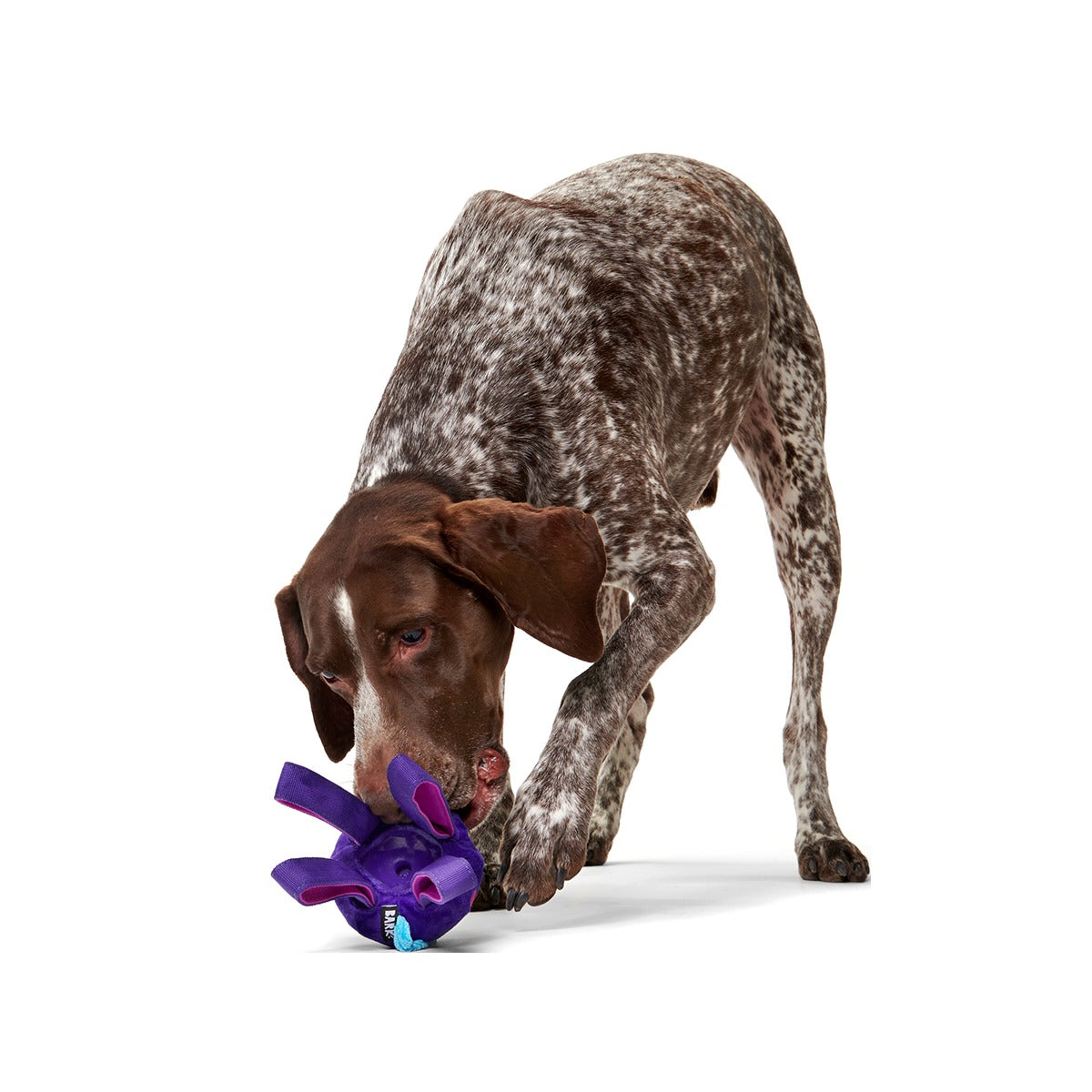 Karen Kraken Super Chewer Durable 2-in-1 + Tug Dog Toy