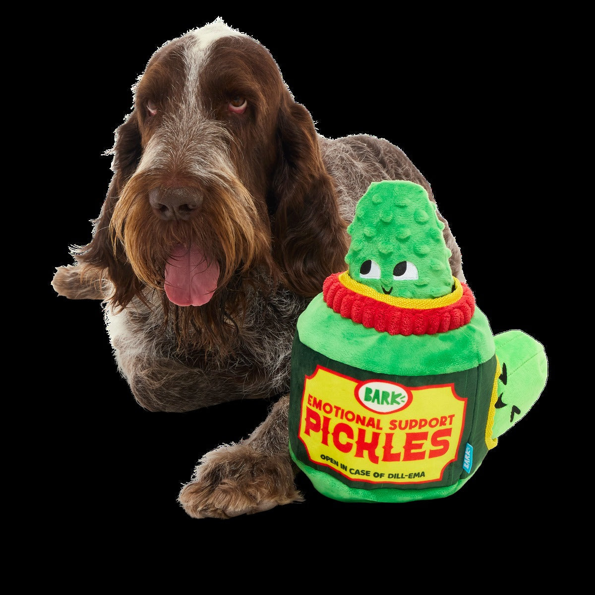 Dill-emma Squad Pickle Plush Extra-Large + Multi-Part Dog Toy