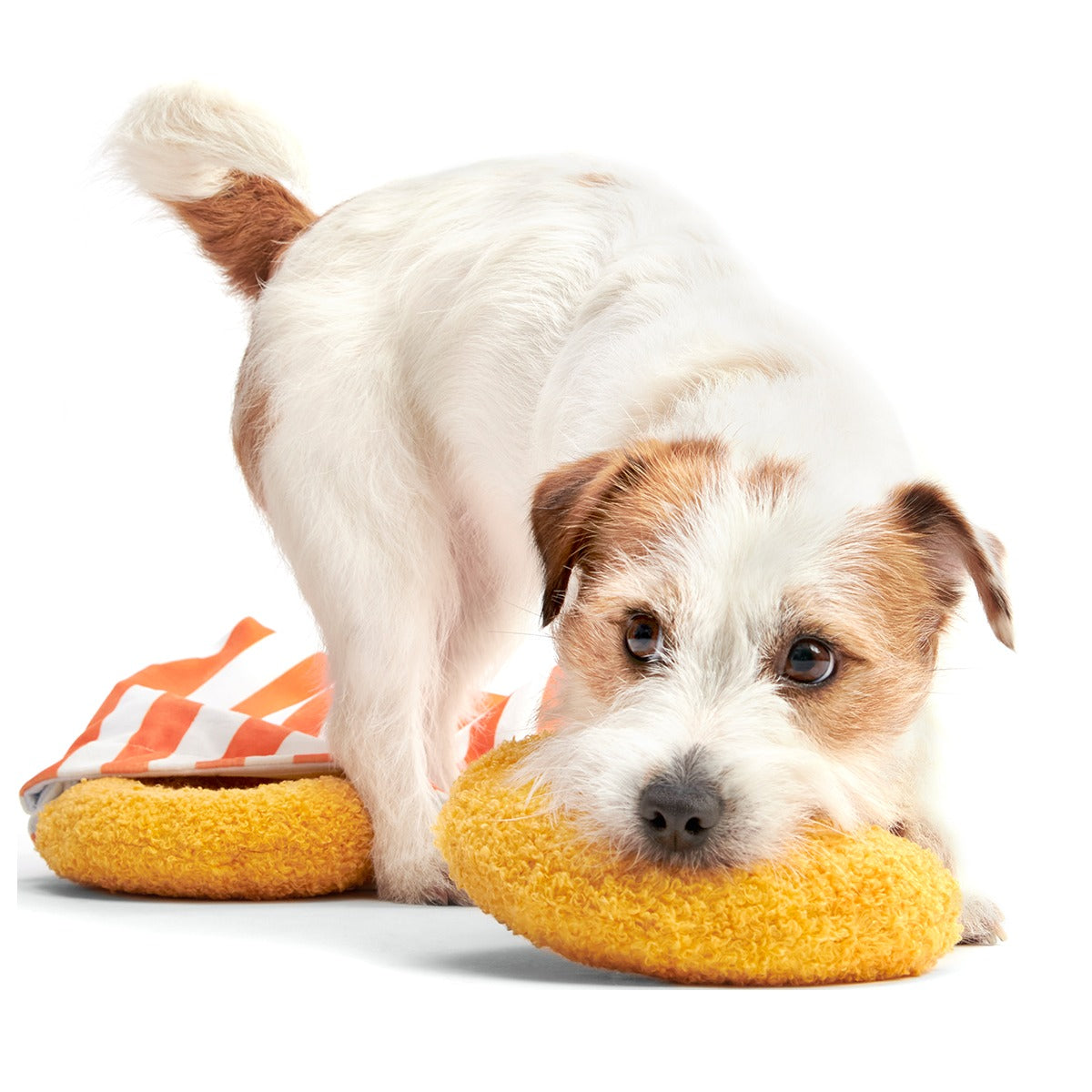 Extra-Large Toy Club, Monthly Plush XL Dog Toys