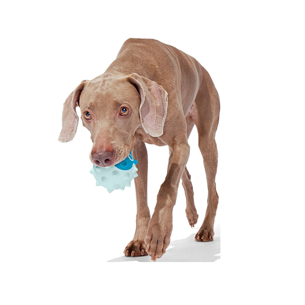 Throwfish Super Chewer Durable Fetch Dog Toy