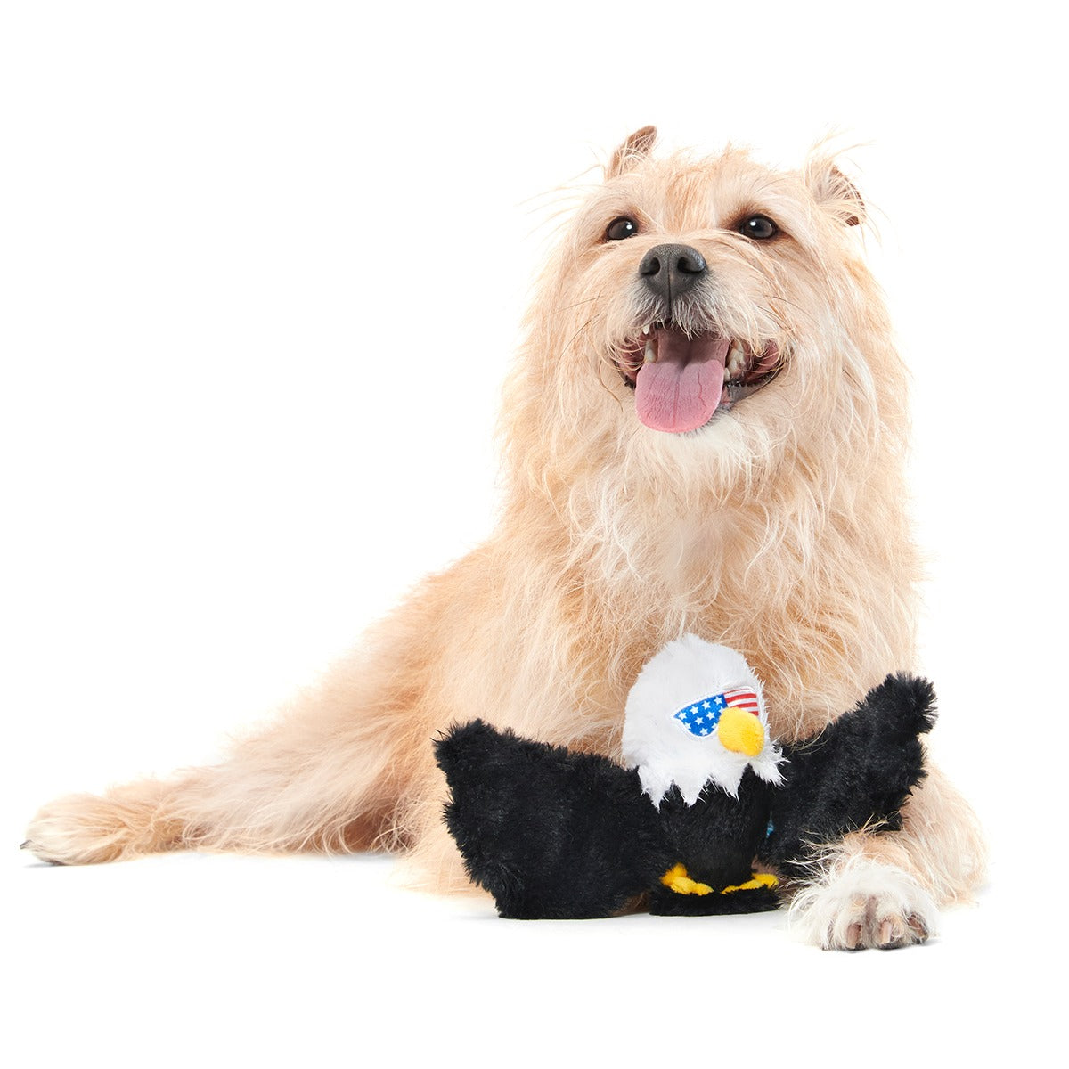 Bold Eagle Plush Tug Dog Toy