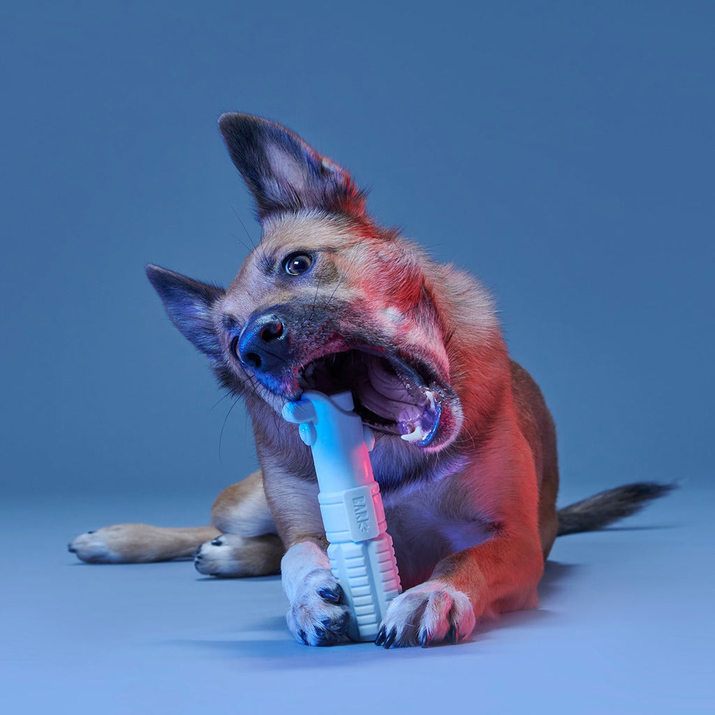 Ultimutt Jedi LightsaberTM Super Chewer Durable Gnaw Dog Toy