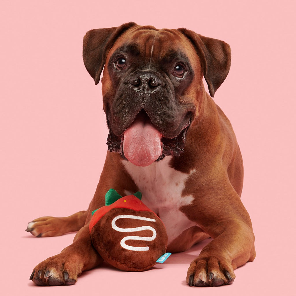 Chocolate Slobber Strawberry Plush Fetch Dog Toy