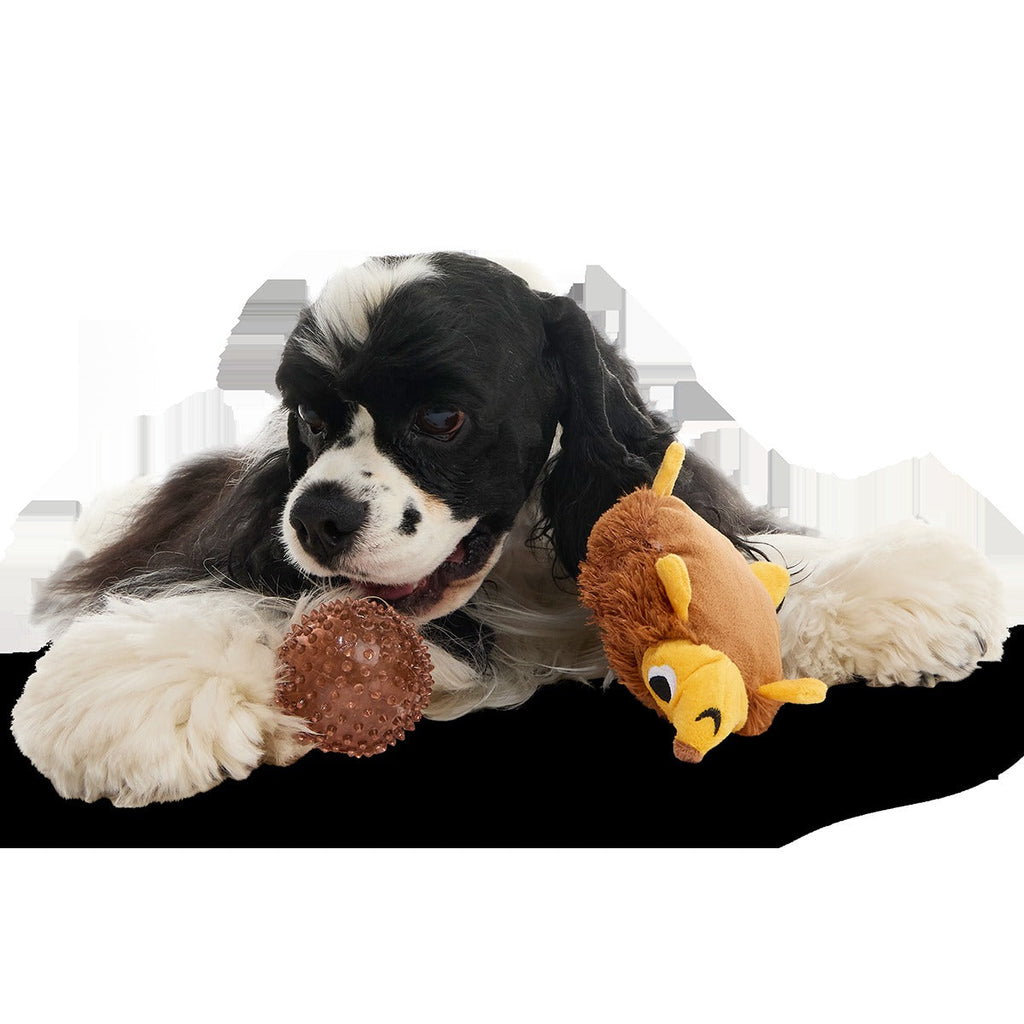 Spike the Ball Hog Plush Multi-Part + Fetch Dog Toy