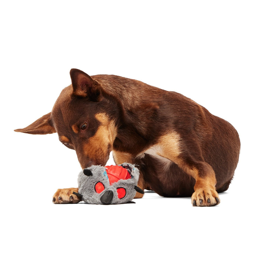 Sewer Chewer Super Chewer Durable 2-in-1 + Fetch Dog Toy