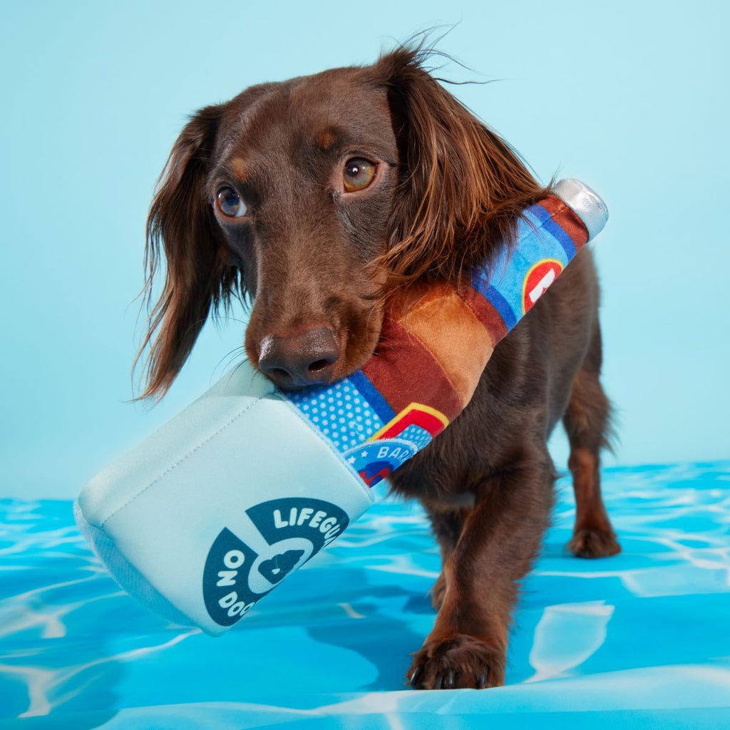 Boozy Doody Koozie Plush Multi-Part + Enrichment Dog Toy
