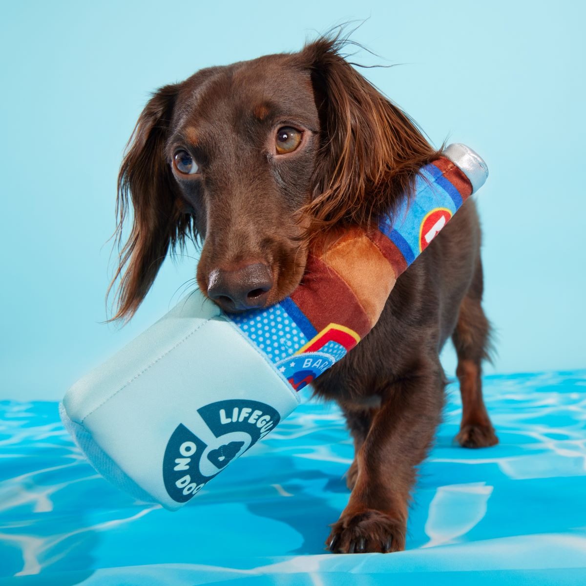 Boozy Doody Koozie Plush Multi-Part + Enrichment Dog Toy