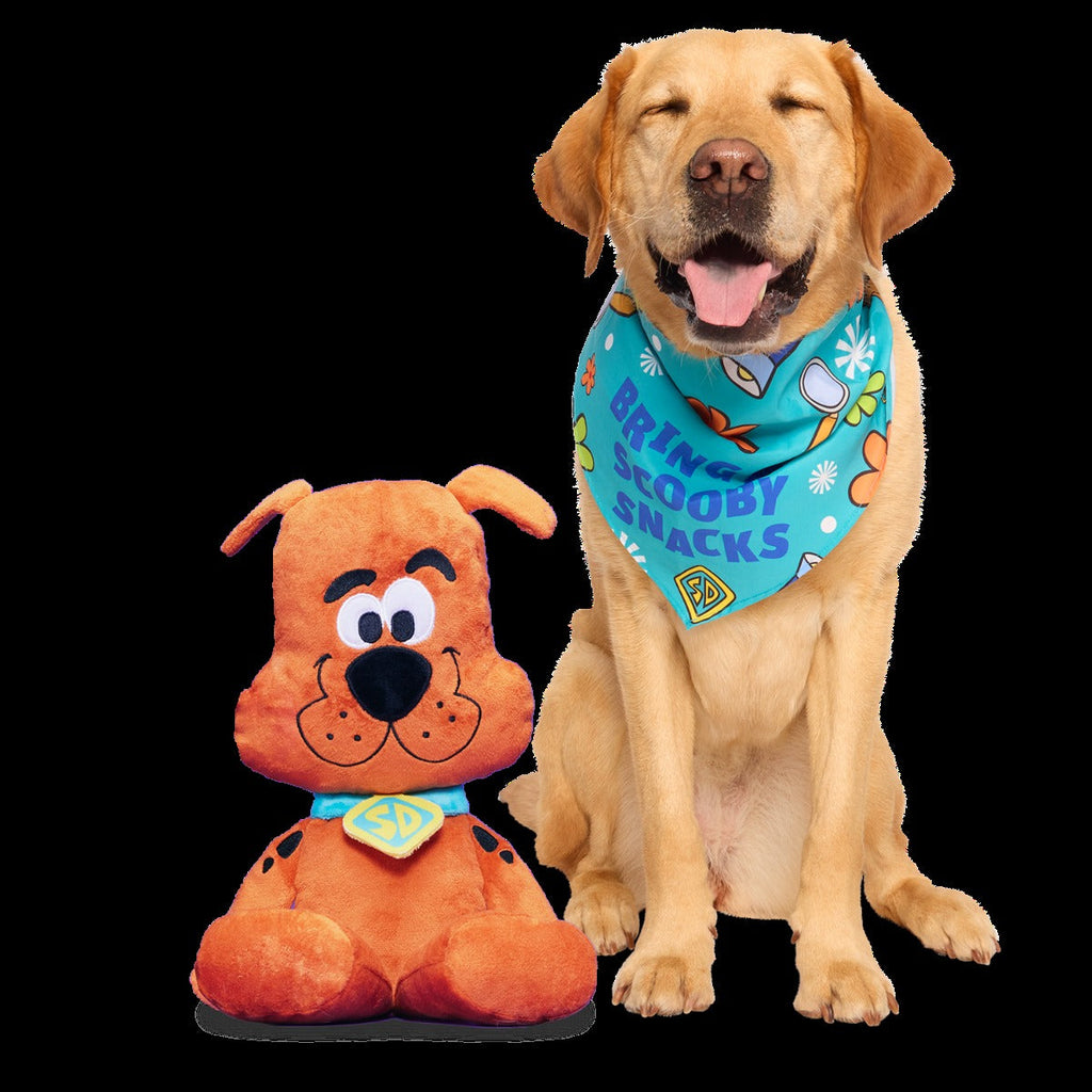Scooby-DooTM Bundle Plush Extra-Large Dog Toy