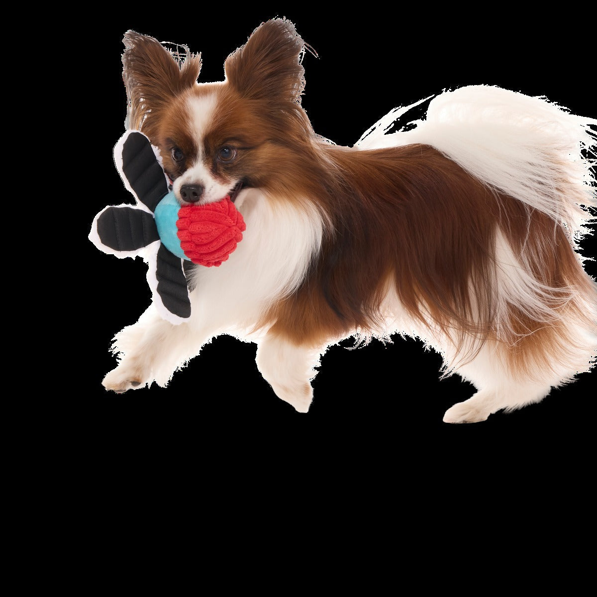 Arctic Ollie Plush Tug Dog Toy
