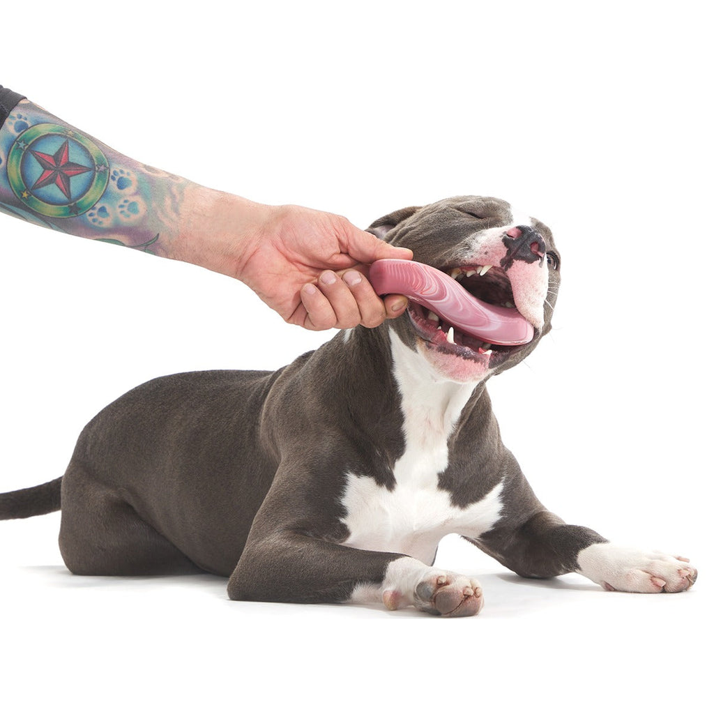 Tough Break Bacon Super Chewer Durable Gnaw Dog Toy