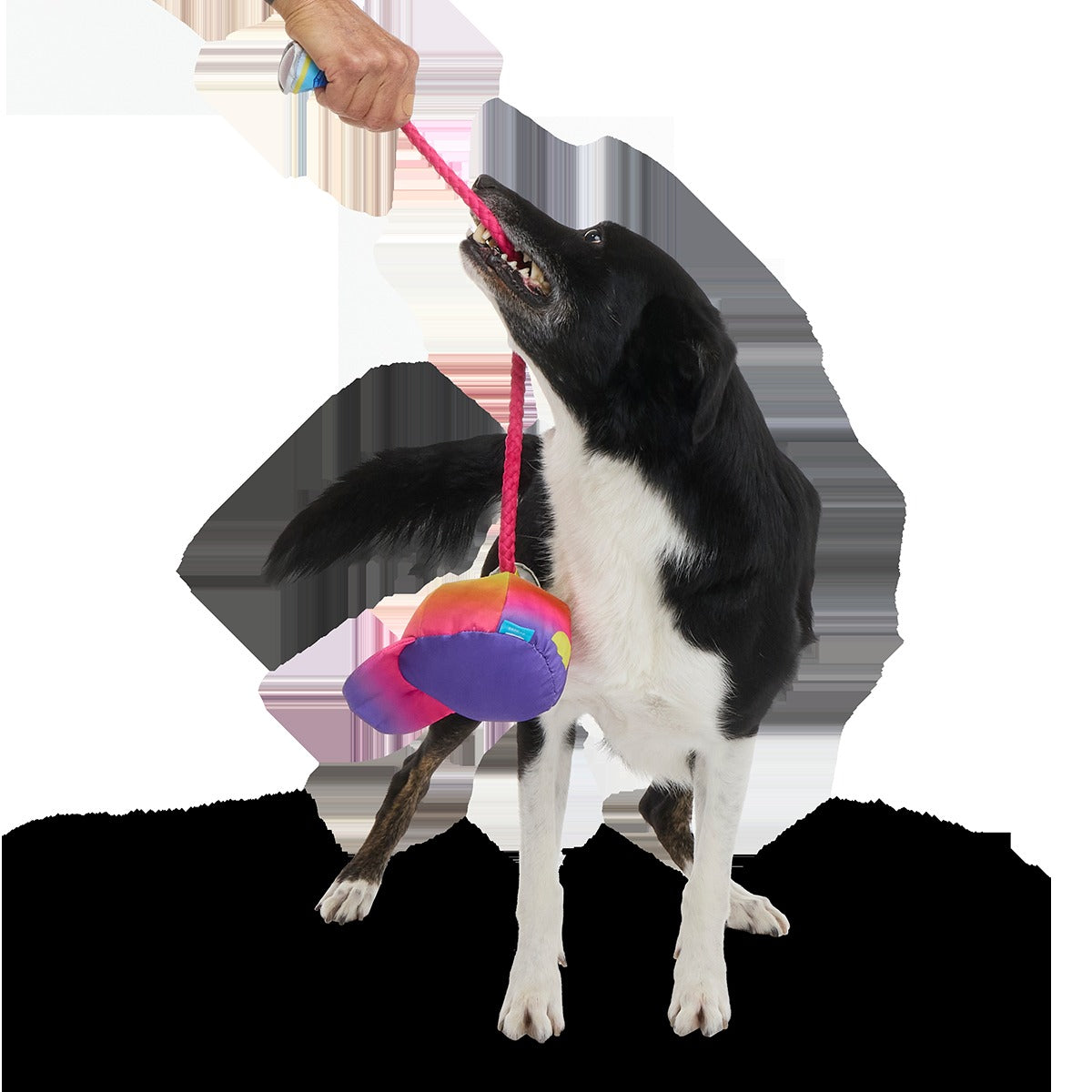 Chug n' Tug Hat Plush Dog Toy