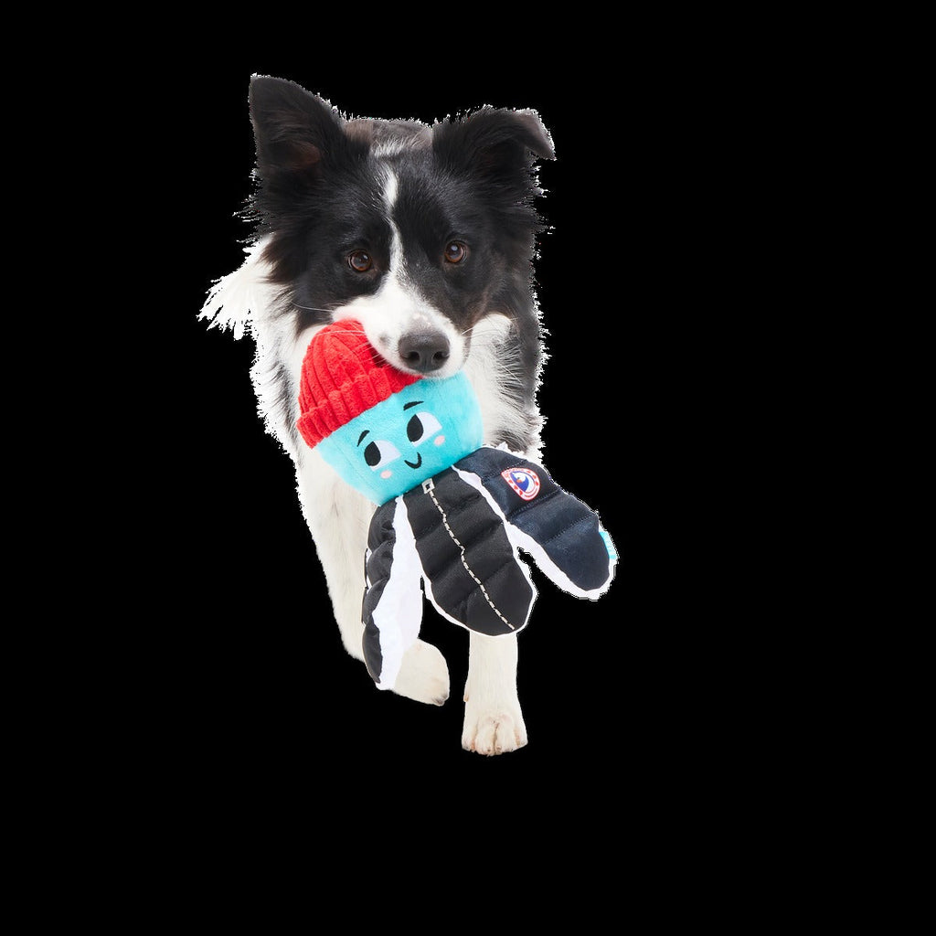 Arctic Ollie Plush Tug Dog Toy