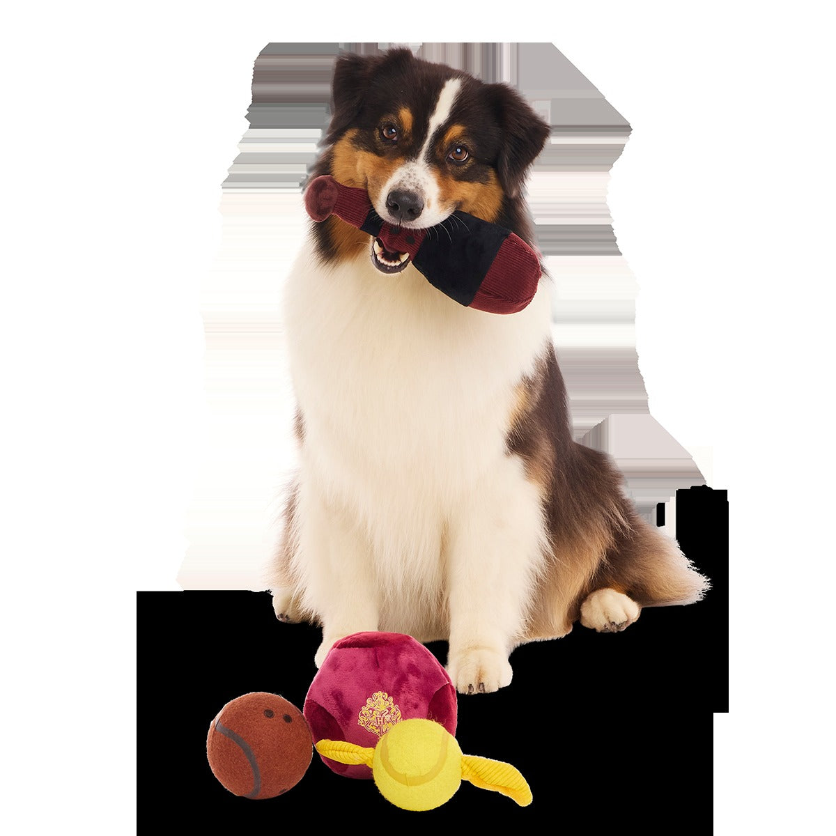 QuidditchTM Equipment Pack Plush Multi-Part + Fetch Dog Toy