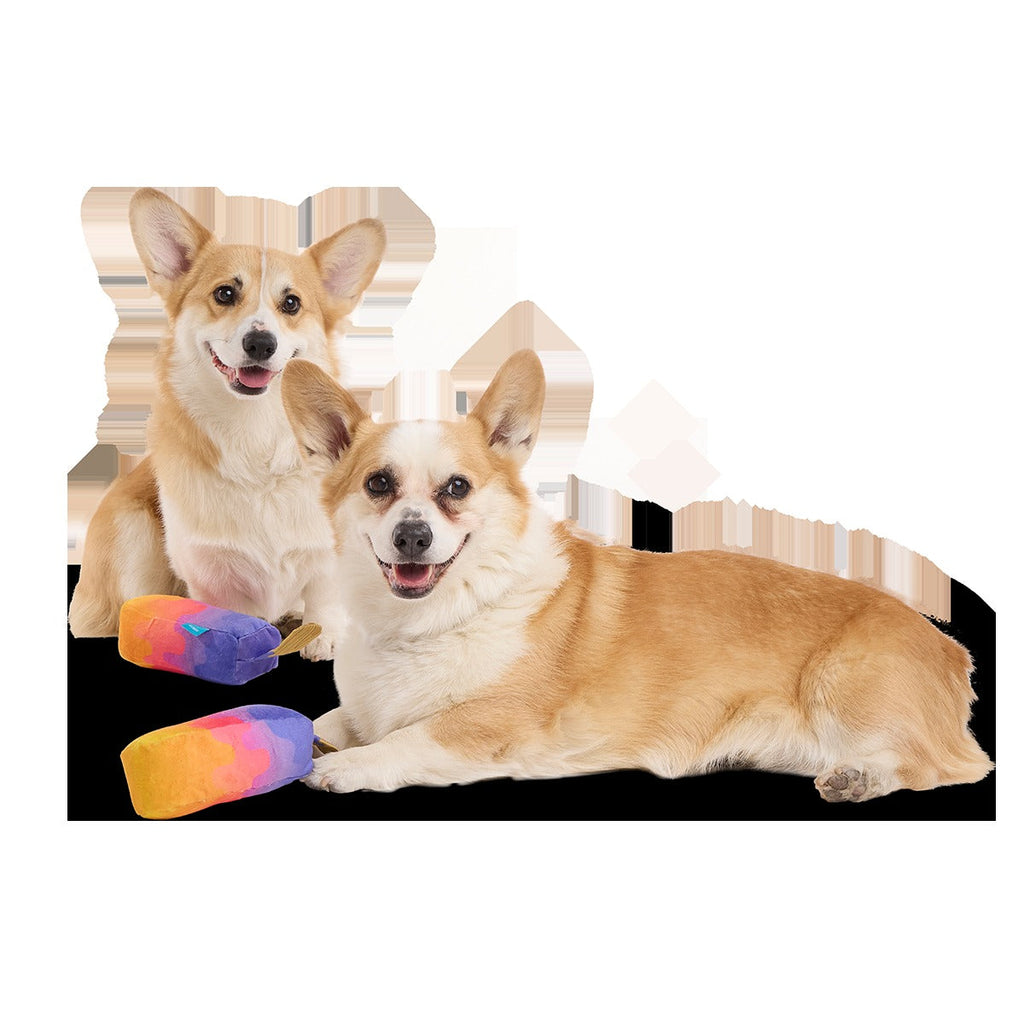 Friends 4Eva Ice Pops Plush Multi-Part + Tug Dog Toy
