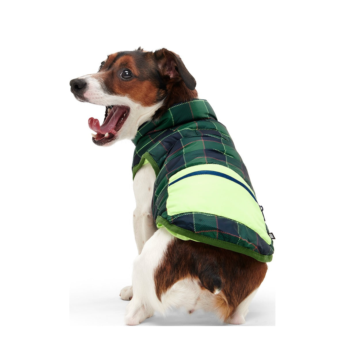Plaid To The Bone Dog Puffer Vest
