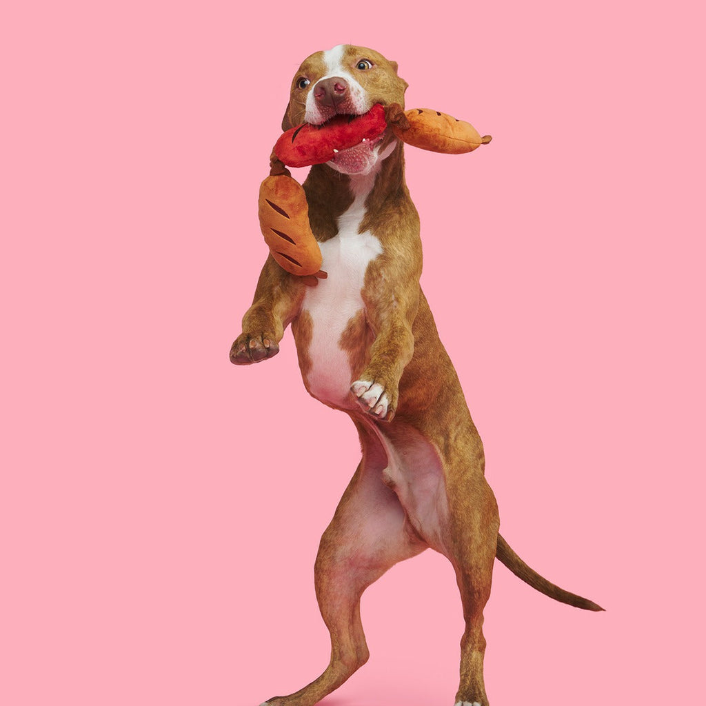 Lickin’ Links Plush Tug Dog Toy