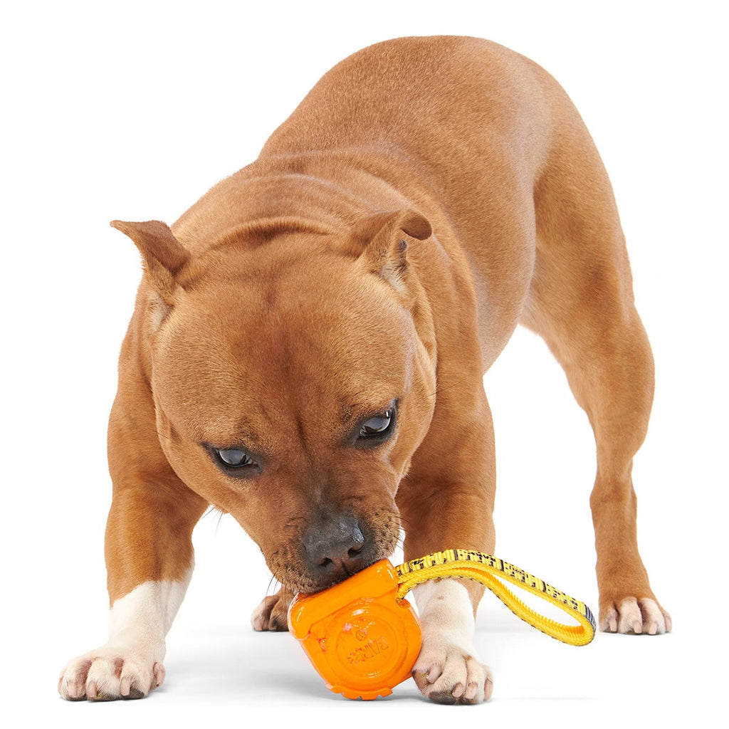 Tug Measure Super Chewer Durable Dog Toy