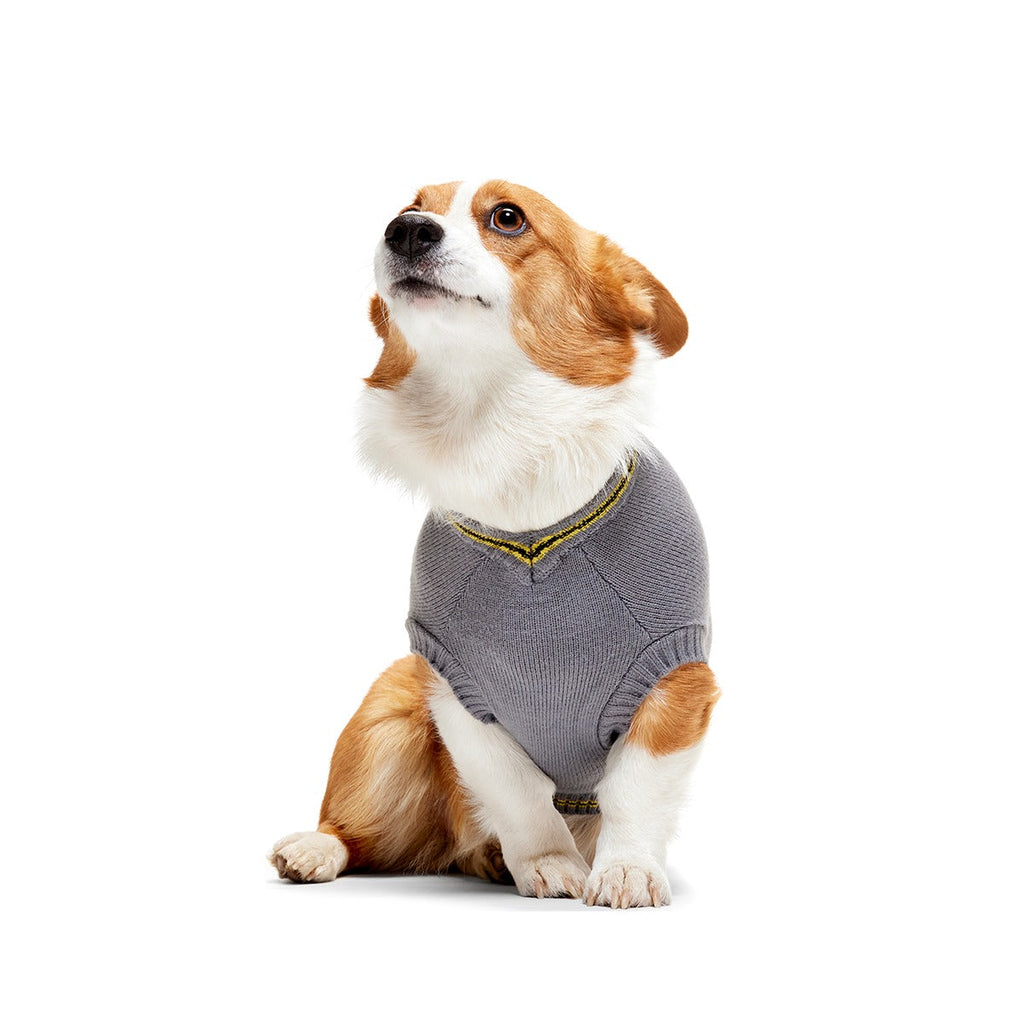 HARRY POTTERTM House Dog Sweater