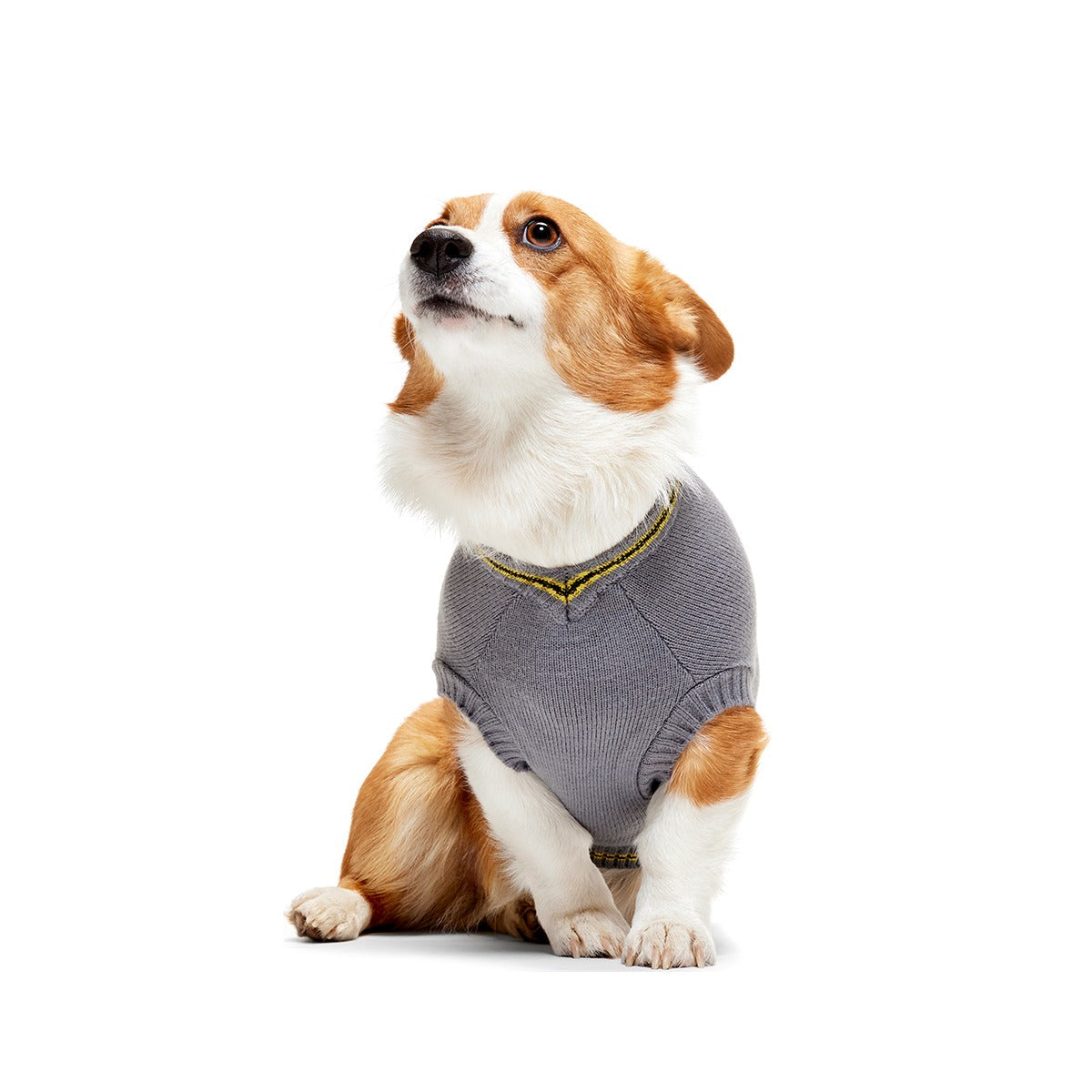 HARRY POTTERTM House Dog Sweater