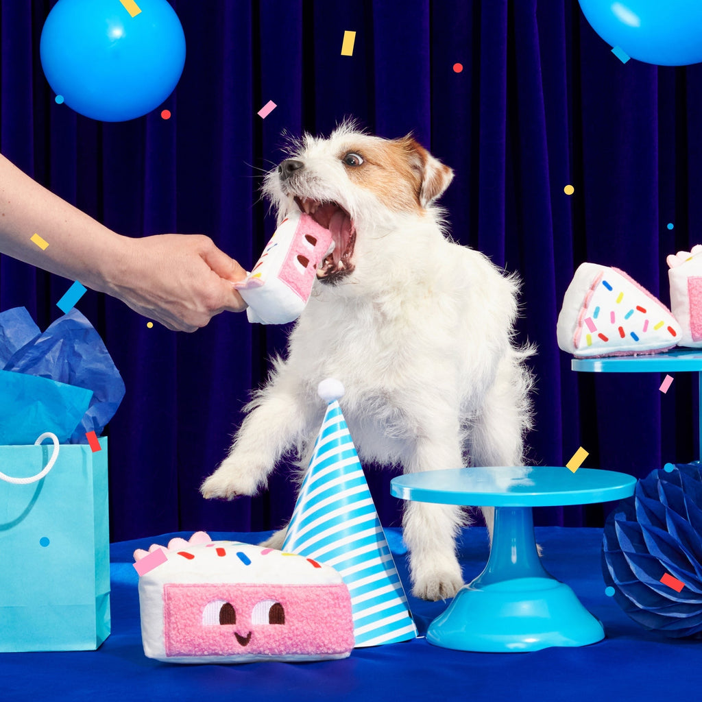 Birthday Classic Plush Gift Box