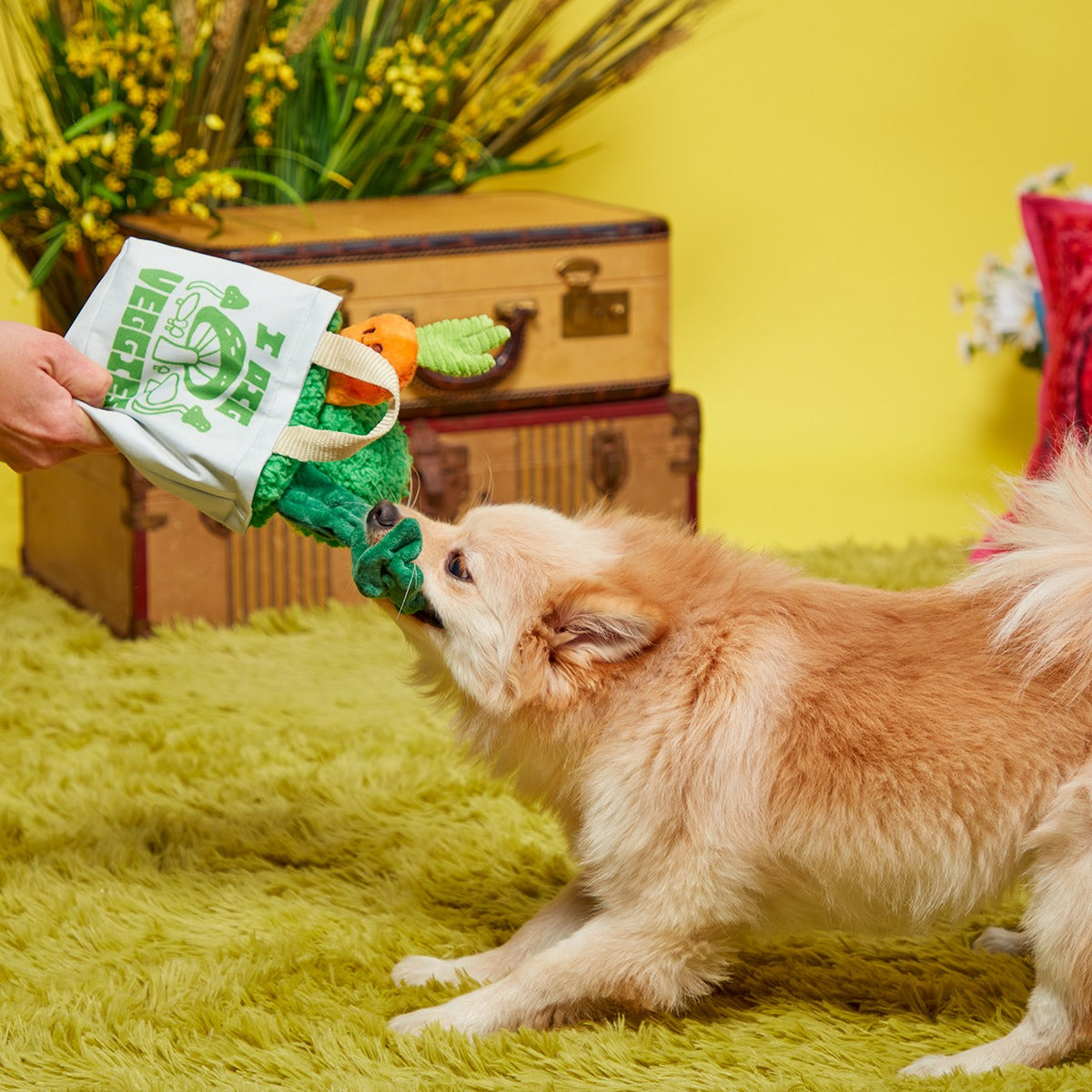 Dig These Veggies Plush Tug + Enrichment Dog Toy