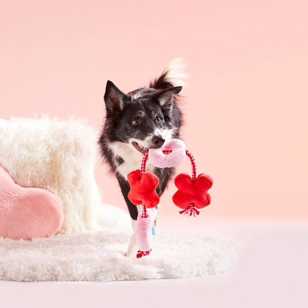 XOXO Rope Tug Plush Tug Dog Toy