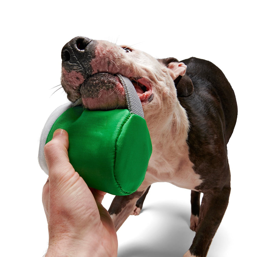 Erin Go Brew Super Chewer Durable 2-in-1 + Tug Dog Toy