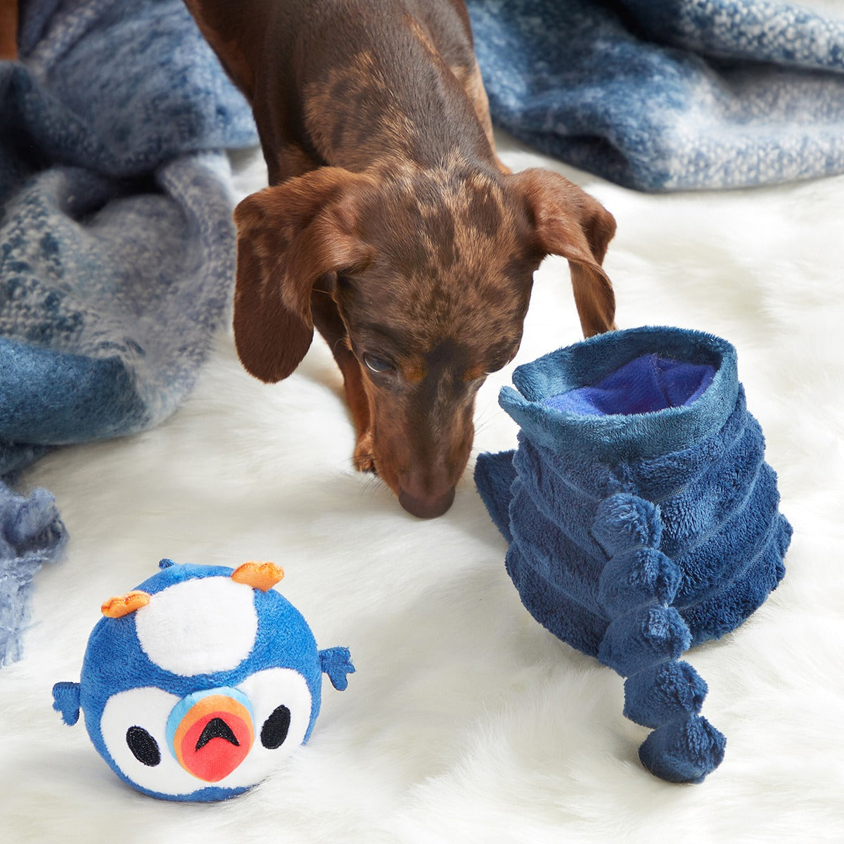 Puffer Puffin Plush Multi-Part + Enrichment Dog Toy