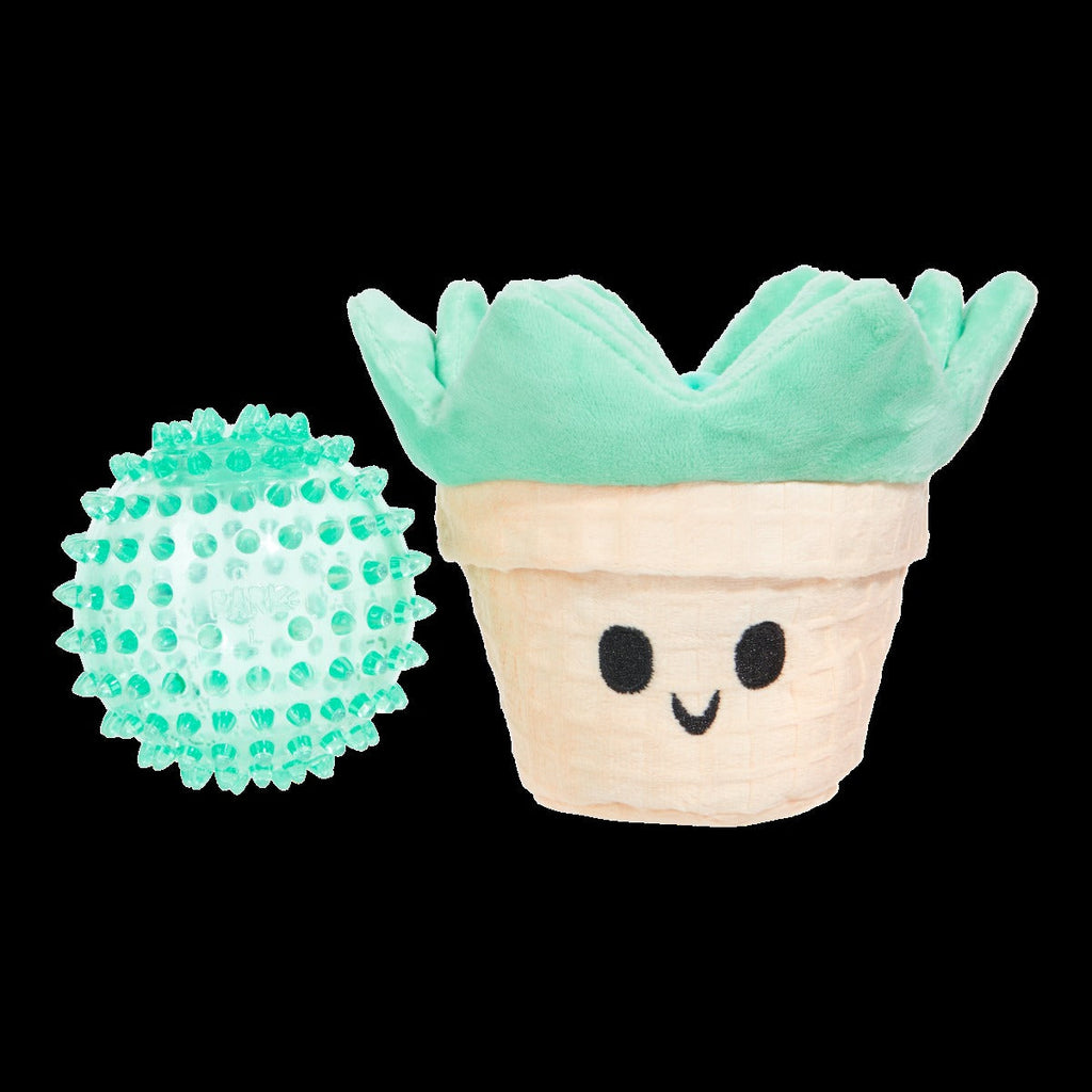 Suki Succulent Plush Multi-Part + Fetch Dog Toy