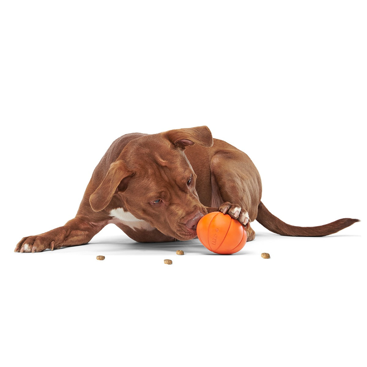 The Grrreat Pumpkin Super Chewer Durable 2-in-1 + Enrichment Dog Toy