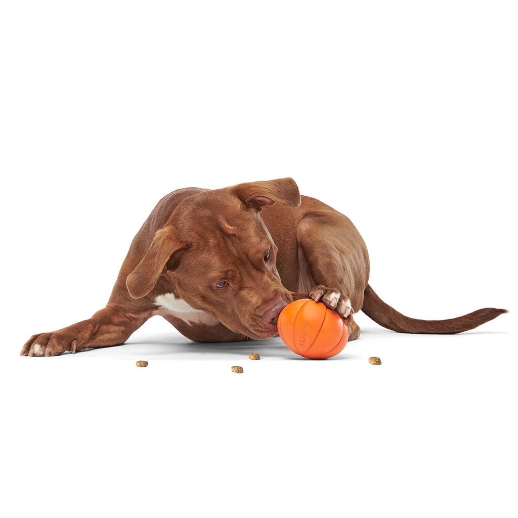 The Grrreat Pumpkin Super Chewer Durable 2-in-1 + Enrichment Dog Toy