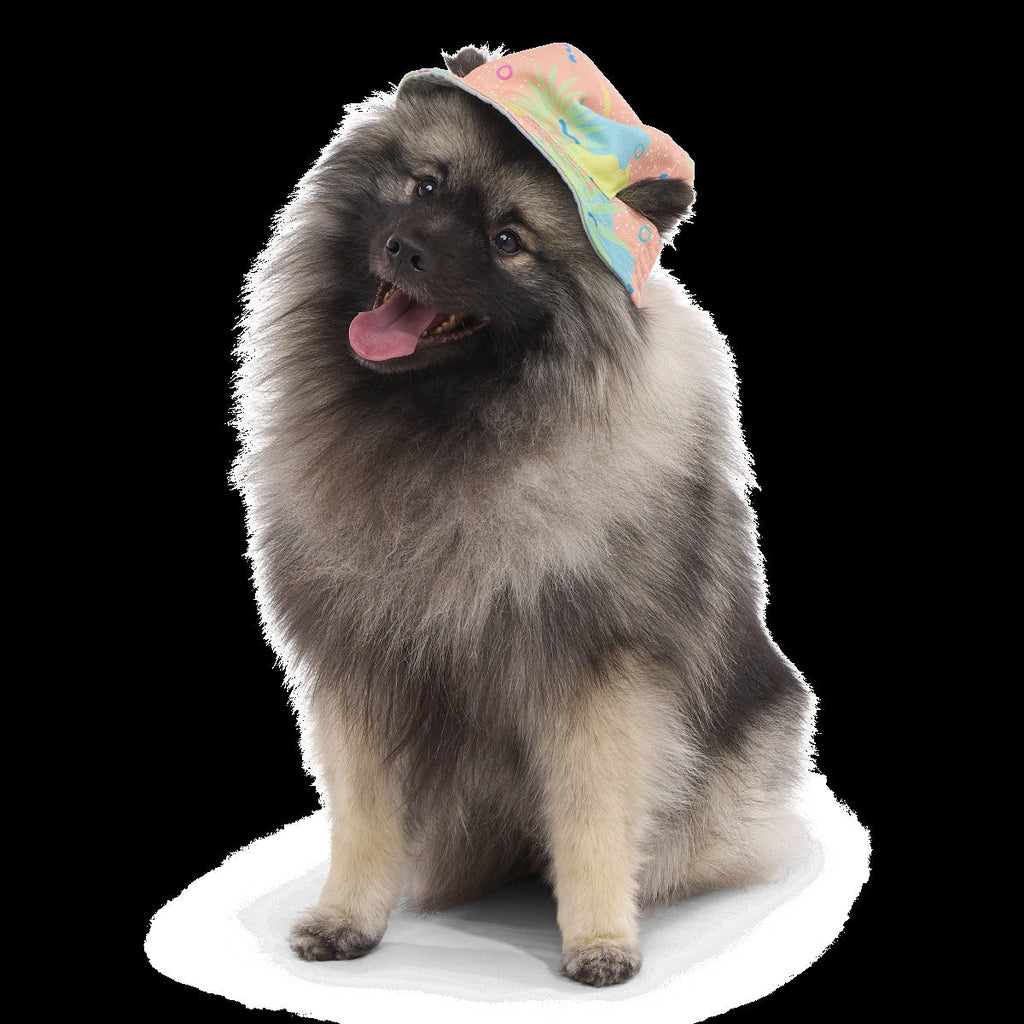 Summertime Reversible Bucket Dog Hat
