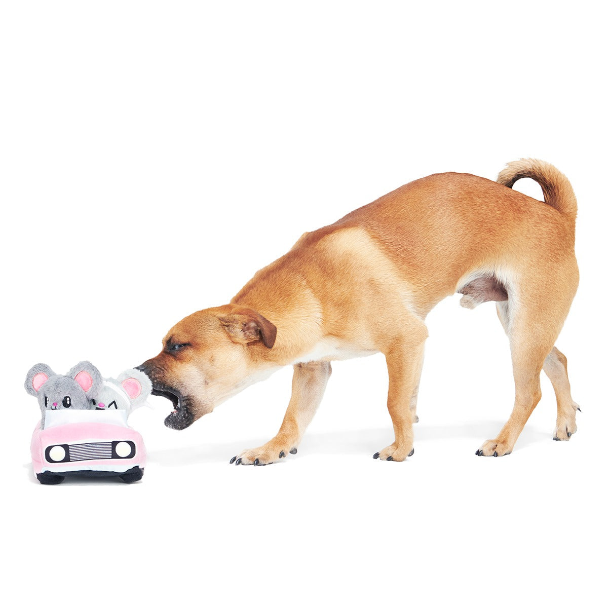 Mister and Mouses Plush Multi-Part Dog Toy