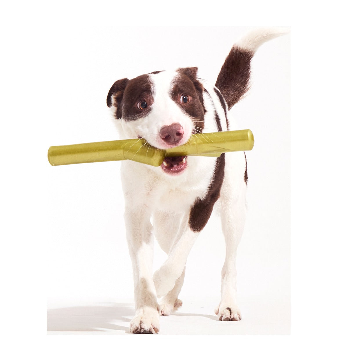 Super Stick Supreme Super Chewer Durable Extra-Large + Fetch Dog Toy
