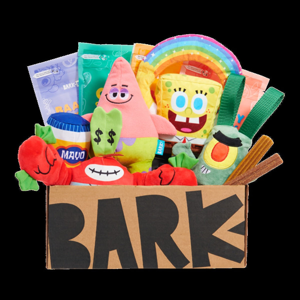 BARK 6 Month Subscription - Spongebob Squarepants Double Deluxe First Box