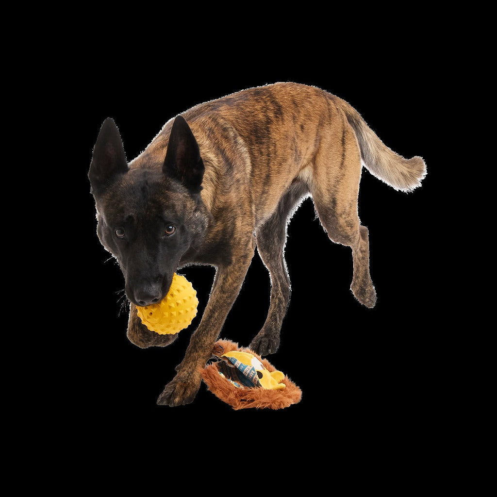 Lionel Lion Super Chewer Durable 2-in-1 + Fetch Dog Toy