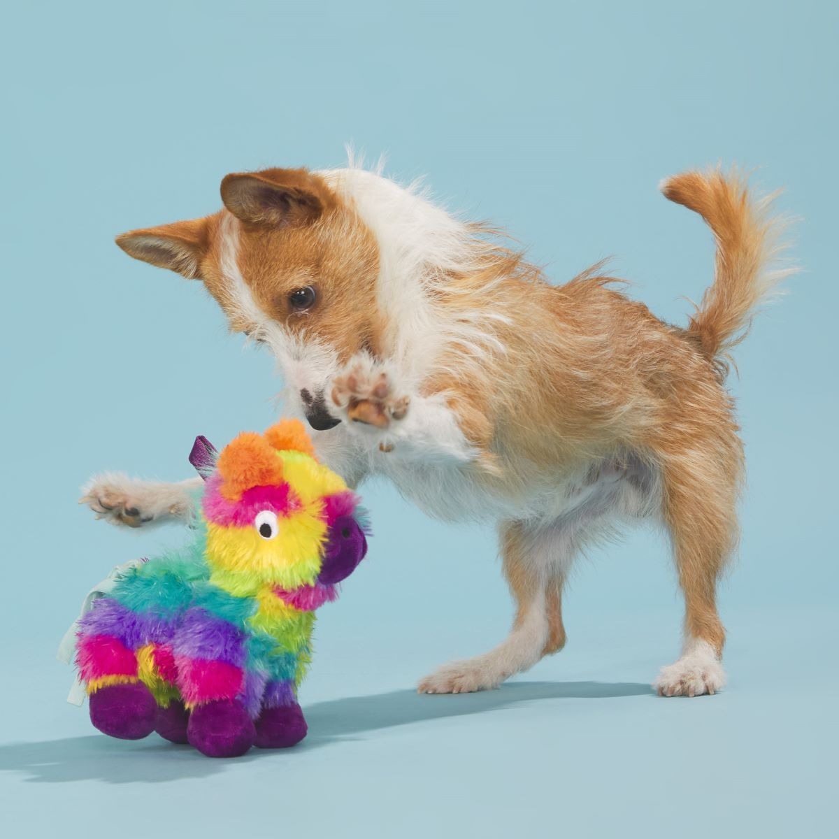 Full o' Fluff Pinata Plush Tug Dog Toy
