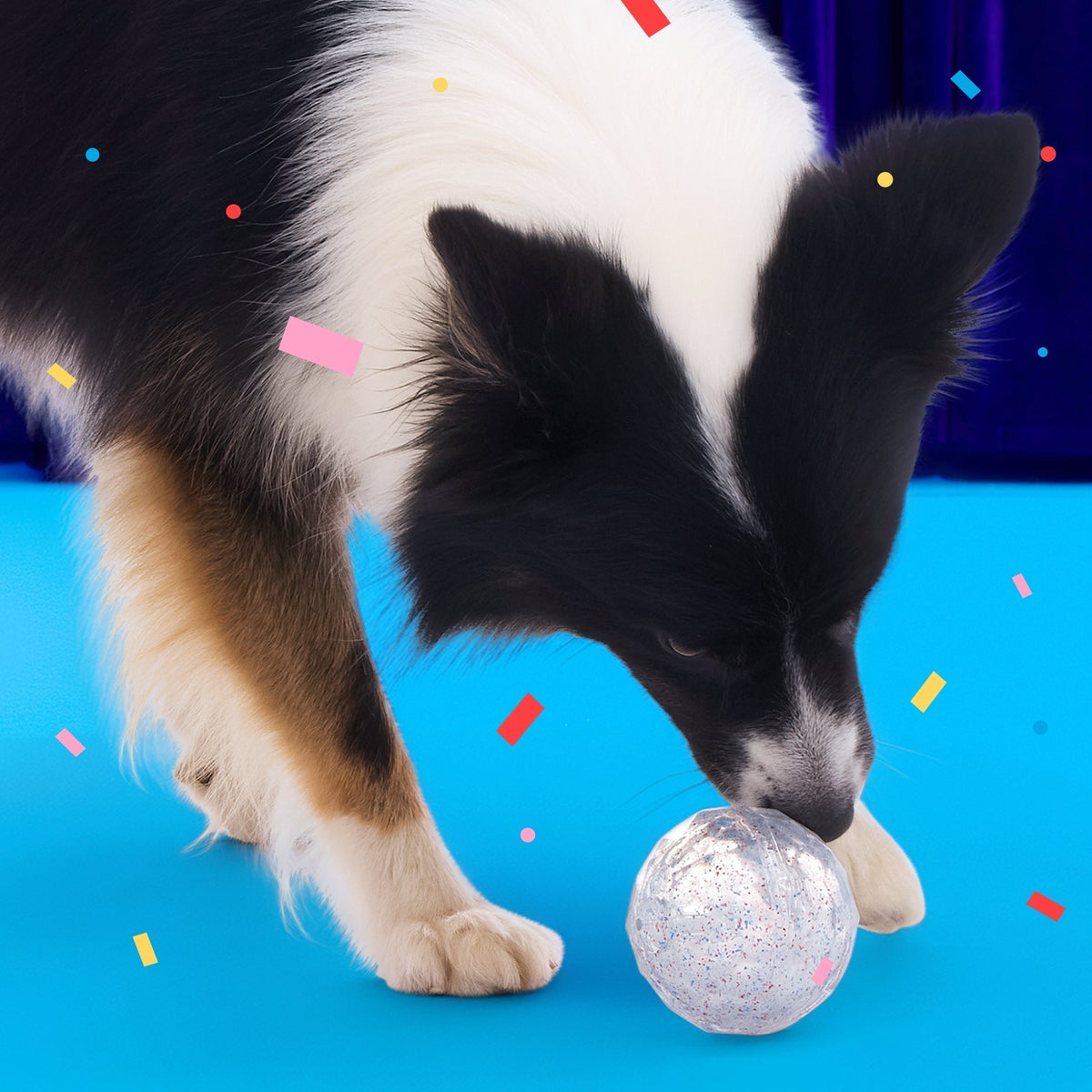 Birthday Super Chewer Gift Box