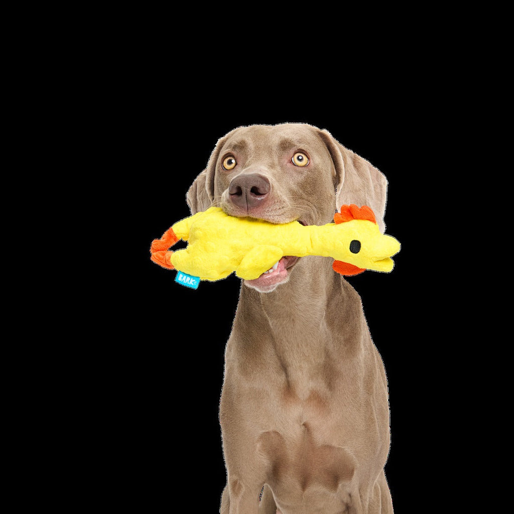 Fozziwig’s Rubber Chicken Plush Tug Dog Toy