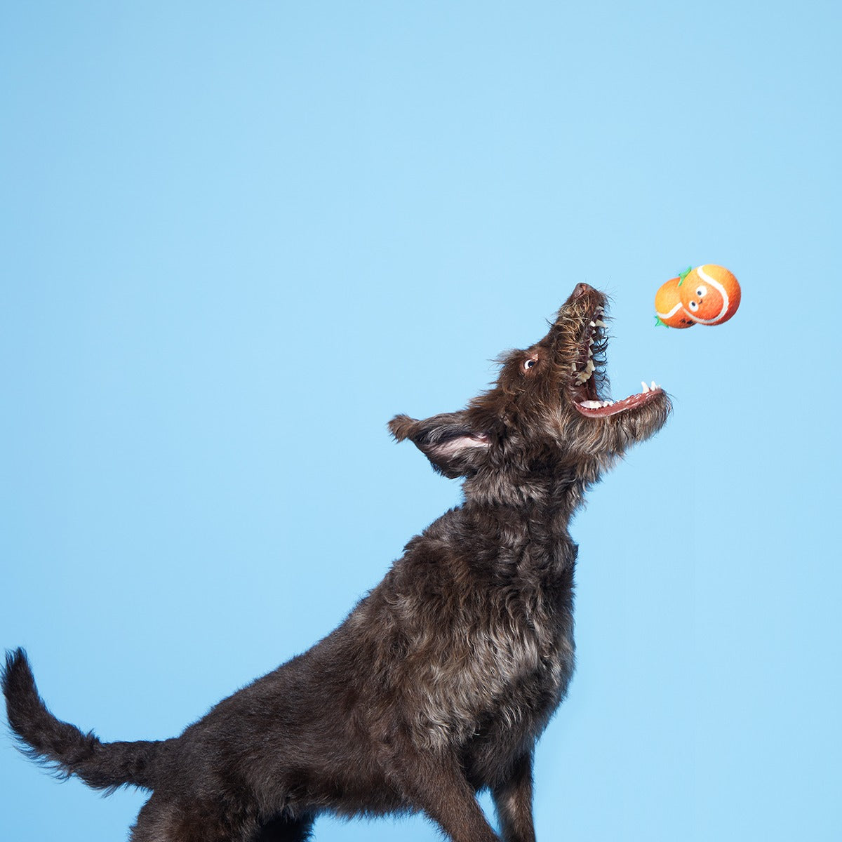 Fresh Squeaked OJ Plush Multi-Part + Enrichment + Fetch Dog Toy