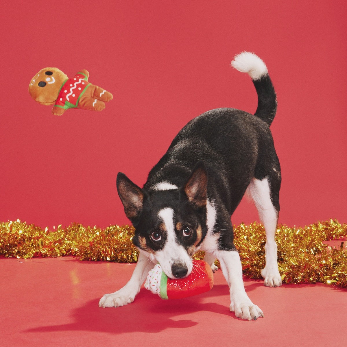 Ginger Brew Crew Plush Multi-Part Dog Toy