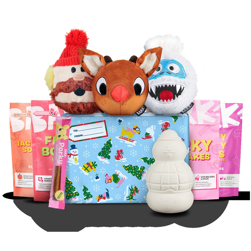 Rudolph® Holiday Super Chewer Gift Box